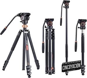 Trípode de Cabeza fluida, trípode de cámara de Video Cayer FP2450H4 Monopie de aleación de Aluminio de 75 Pulgadas para cámara Canon Nikon Sony DSLR